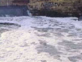 Los Verdes de Murcia y Los Verdes de la comarca de la Vega Baja denuncian el vertido contaminante al Segura