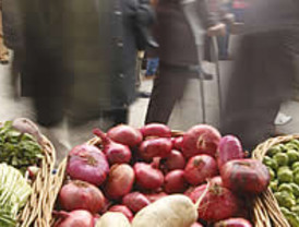 FMI augura una recuperación de la economía andina en 2010