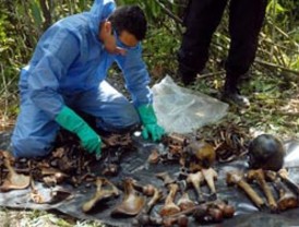 Termina sesión este martes Dow Jones con pérdida de 0.55%