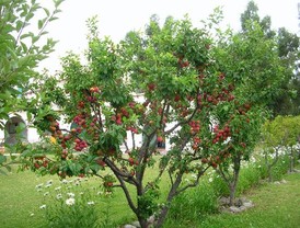 El retorno voluntario de inmigrantes funciona