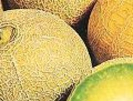 Los medios apelan a la solidaridad