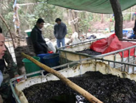 Instalada la Corte Nacional de Justicia de Ecuador