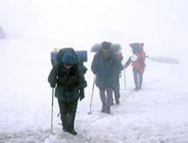 El líder del PP quiere que se visualice que su partido es una alternativa sólida al Gobierno