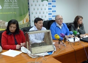 UPA y ASAJA dan un ultimátum a la Junta para aplicar un plan de "exterminio radical" de plaga de conejos