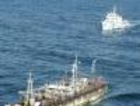 Capturan buque ghanés que pescaba ilegalmente