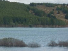 El MARM invierte 1,7 millones de euros en restaurar y reforestar el entorno del embalse de Aguilar de Campoo