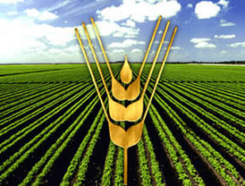 Las Ligas de Fútbol Profesional Europeas se unen a campaña contra el hambre de la FAO