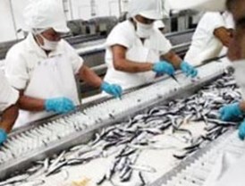 Lamata comparecerá en las Cortes para informar sobre la peste porcina