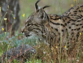 Jesús Villalobos releva a Yunes en el ISSSSTE