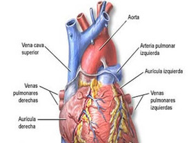 Lo mejor de 'Los Simpson' en Antena3