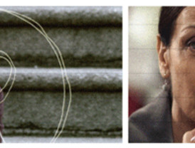 Àligues versus molins