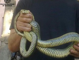 Messi recibe los máximos galones de líder de Argentina de la mano de 'Dios' Maradona