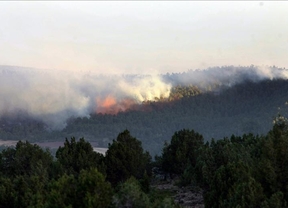 Diputación de Guadalajara estima que han ardido 900 hectáreas en Chequilla