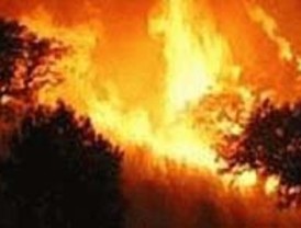 Rajoy y el PP denuncian una trama adversa