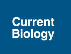 'El cambio es un reconocimiento de que Zapatero se equivocó hace un año'