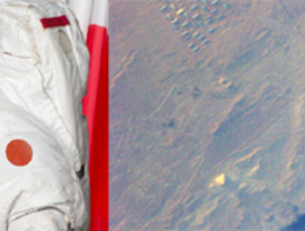 La parada no programada de Ascó se debió a un error humano