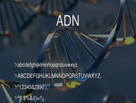 UPN se moviliza para no perder el poder en Navarra