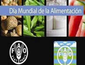 Cataluña exporta un 10,97 por ciento más en enero de 2010 que en el mismo período de 2009