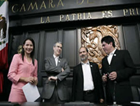 Información manifestación