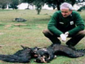 González Páramo asegura que las bajadas coordinadas de tipos son algo 'extraordinario'