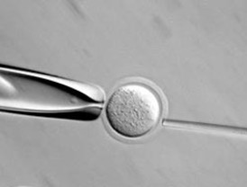 Zapatero manda un mensaje de confianza moderada que no convence a nadie