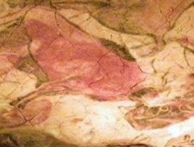 Abdulá renuncia pero pide a los afganos que voten