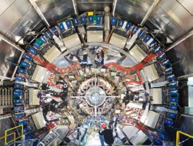 Racionan arroz en EEUU