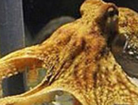 Los crucifijos sólo se quitarán cuando los padres lo reclamen