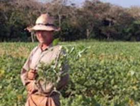 Will Smith no se considera un gran actor, sólo un tipo que trabaja muy duro