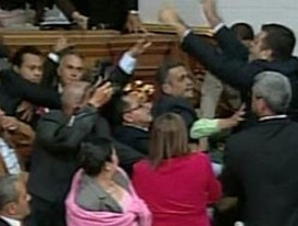 Menos medusas que en 2009