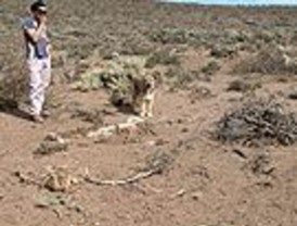 Zapatero prepara importantes cambios en Moncloa