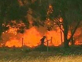 Los padres piden que Educación para la ciudadanía se dé en valenciano o castellano