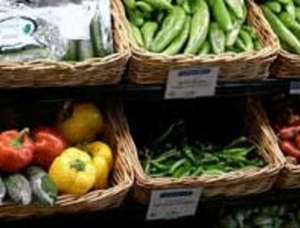 CCOO pide a Agricultura que 'vigile y blinde' el sector agroalimentario