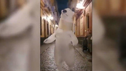 Cádiz cambia a la estrella de la Cabalgata de Reyes del año pasado, el oso del cuello quebrado
