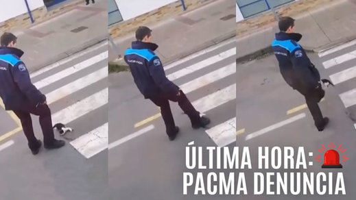 La polémica del vídeo del policía y el gatito moribundo que arrasa en redes
