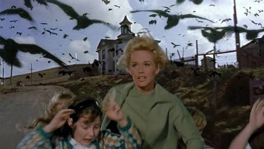 'Los pájaros' de Alfred Hitchcock