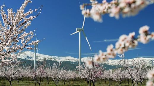 Parque eólico de Iberdrola en primavera en Andalucía