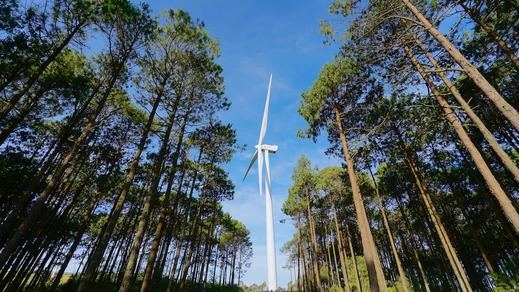 Informe Biodiversidad 2024 de Iberdrola