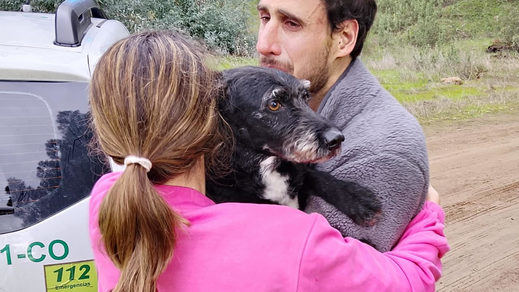 Rescate del perro Boro