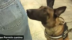 Un perro policía detecta en directo droga en 'Mañaneros' y se descubre que fue un montaje