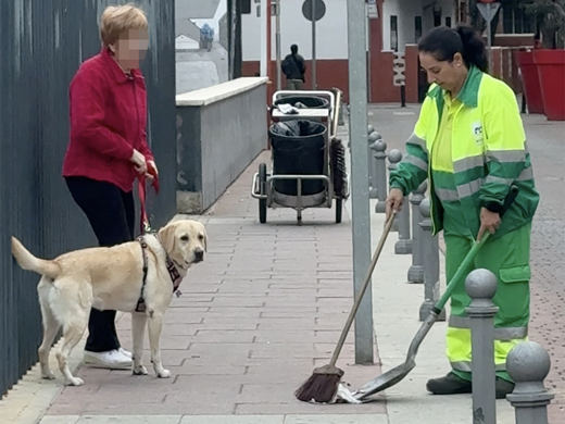 Perros y cacas en las aceras