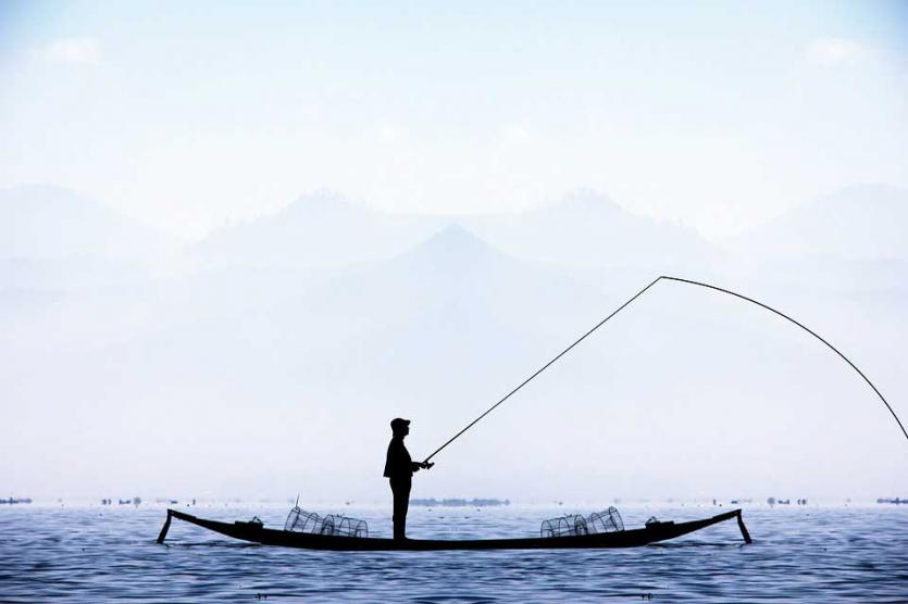Guías de pesca: la biblia perfecta para los pescadores más nóveles