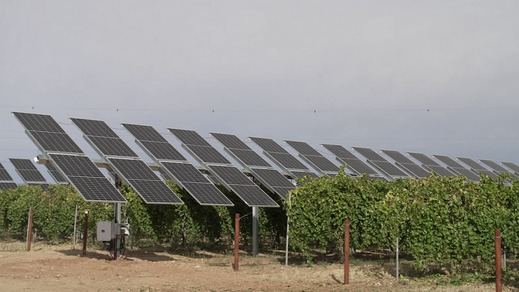 Proyecto WineSolar de Iberdrola en Castilla La Mancha