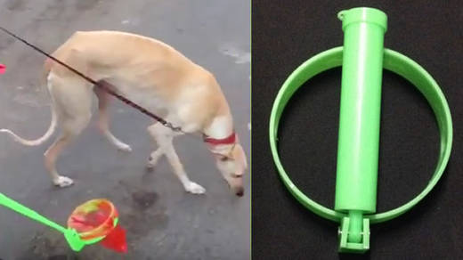 Inventan un recogedor de caquitas de perro para evitar agacharse al suelo y mancharlo
