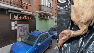 La leyenda negra de los restaurantes chinos regresa tras el caso de las palomas vendidas como pato en Madrid