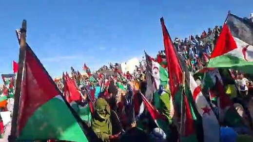 Saharahuis protestando contra la resolución de la ONU