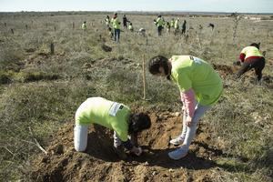Bankia y WWF España recuperan en 3 años 63 hectáreas del Parque Nacional de Las Tablas de Daimiel