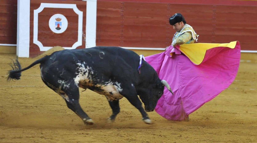 STE-CLM considera un 'desproposito' crear un ciclo de FP en Tauromaquia