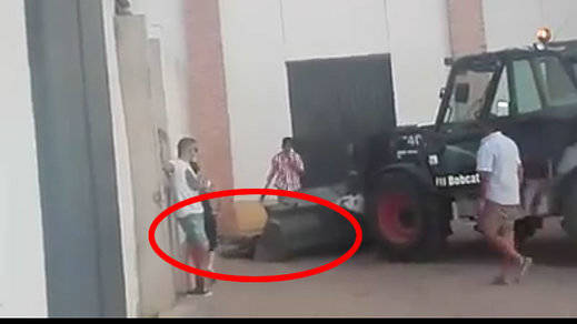 Rematan con la pala a una vaquilla que agonizaba en Motilla del Palancar (Cuenca)