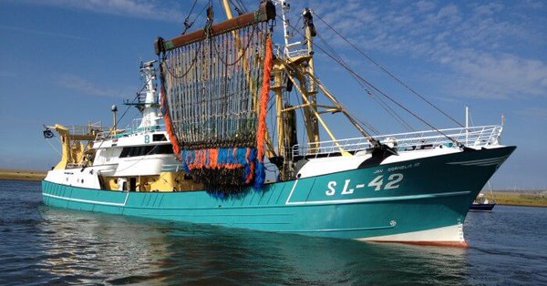 El Europarlamento frena la pesca con electrocución que denuncian ecologistas y animalistas